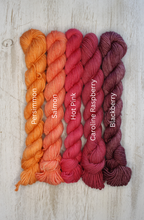 Sock Mini Skeins
