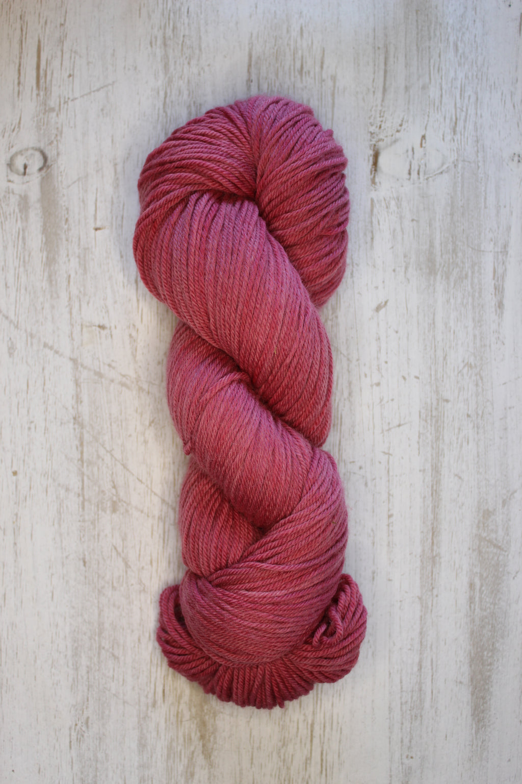 Caroline Raspberry