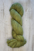 Lichen