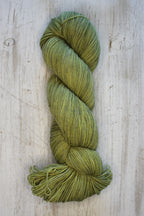 Lichen