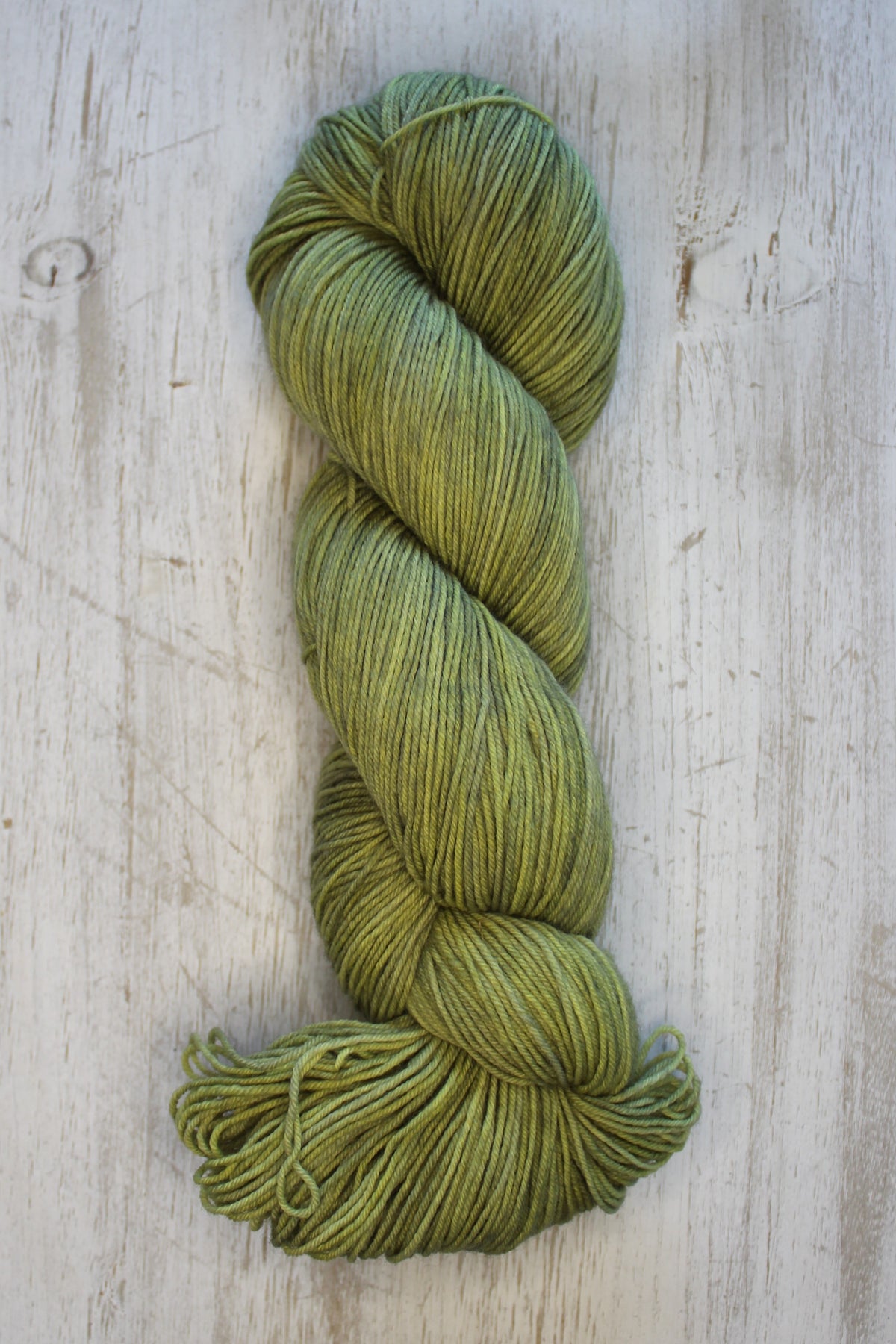 Lichen
