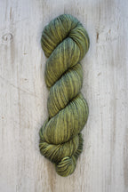 Lichen