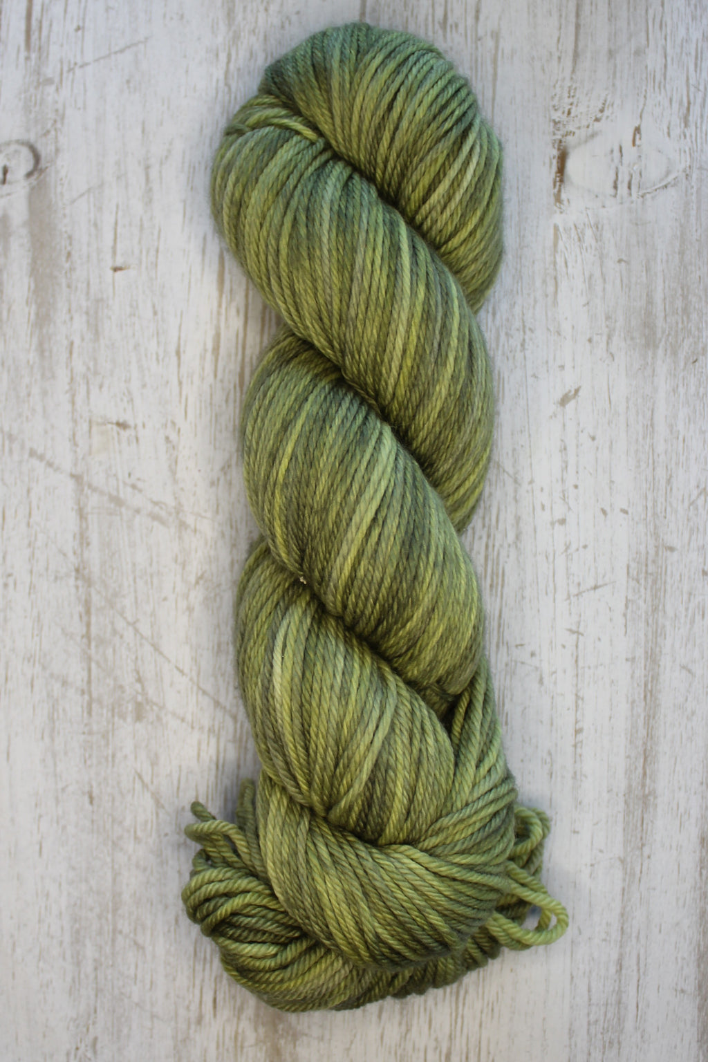 Lichen