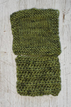 Lichen