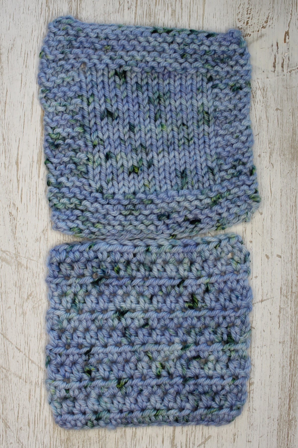 Chicory