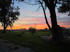 Indiana Sunset