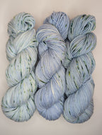 Chicory