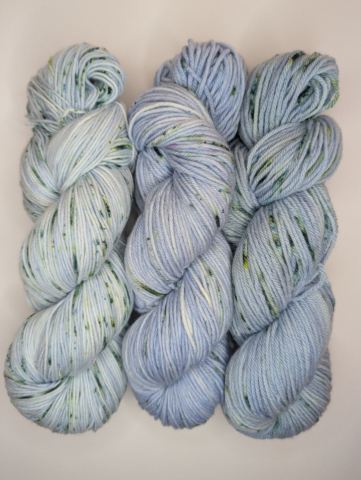 Chicory